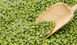 娱乐吃瓜二豆,揭秘二豆背后的故事与真相