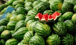 2022网红吃瓜事件,揭秘网络热点背后的真相