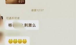 杨爸遛鸟吃瓜网,揭秘网络红人的日常生活