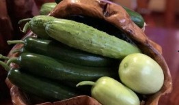 邹平网红吃瓜,揭秘网络红人的真实一面