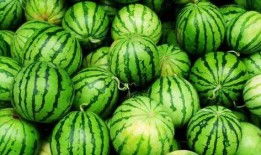 娱乐吃爆瓜,爆瓜盛宴，明星幕后故事大公开