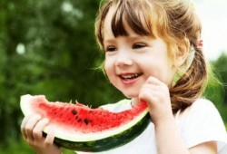 娱乐君吃瓜老绵羊,揭秘老绵羊背后的故事