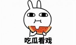 娱乐吃瓜君被告是啥,揭秘背后真相