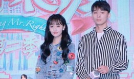 娱乐圈吃瓜情报局