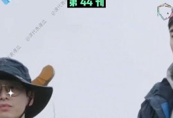 娱乐吃瓜解说大全视频最新